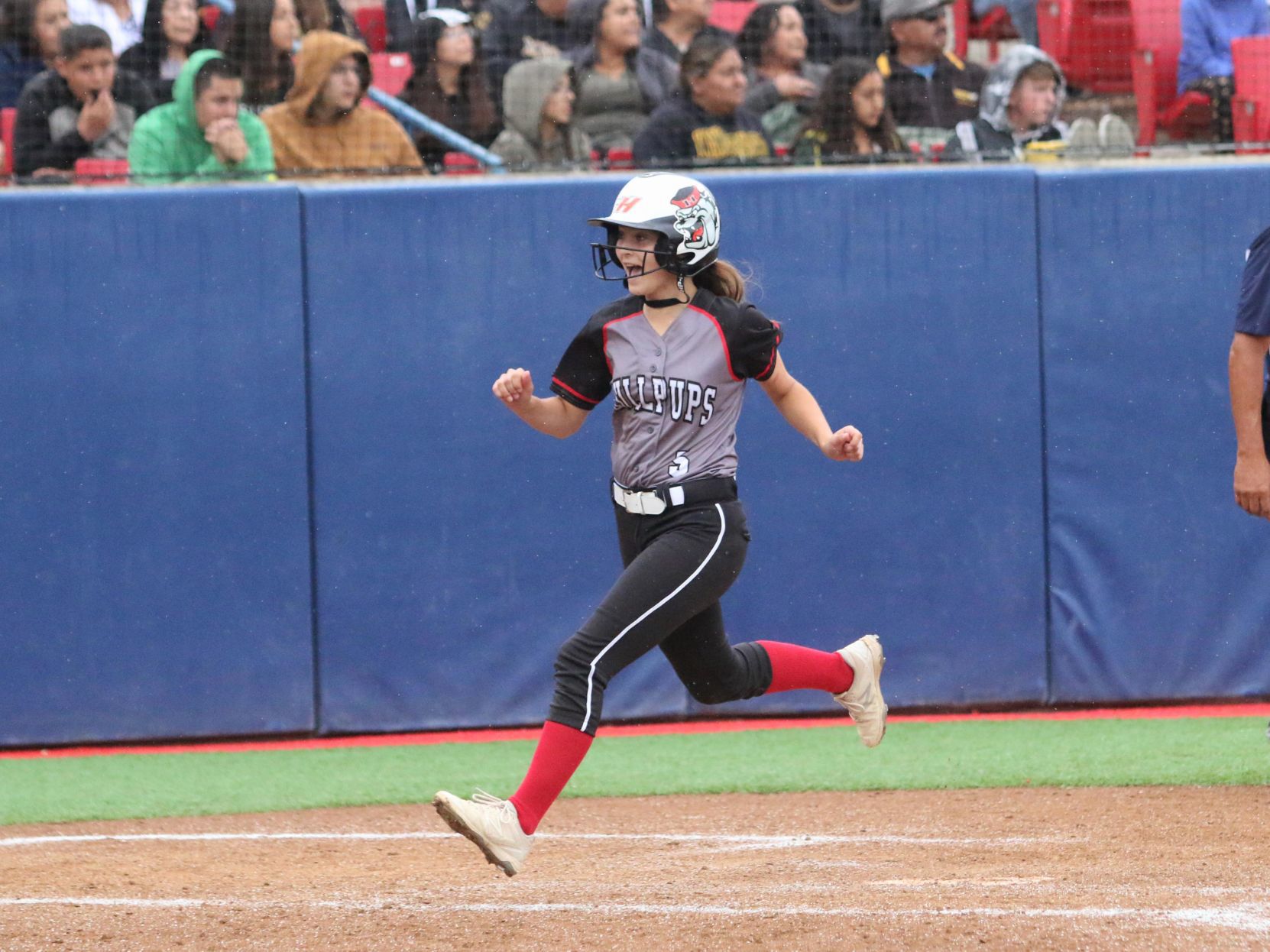 Late rally falls short, Bullpups end season as runner-up in Division II